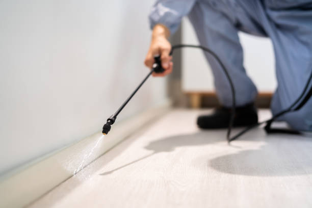Licensed Fumigation Services service in Mount Airy, GA - Nex Pest Control