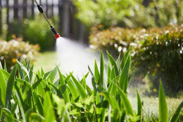 24/7 Emergency Fumigation Services experts in Mount Airy, GA