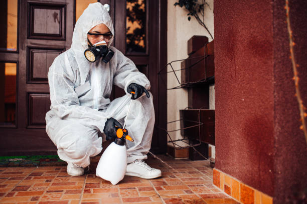 Reliable Fumigation Services contractor in Mount Airy, GA by Nex Pest Control