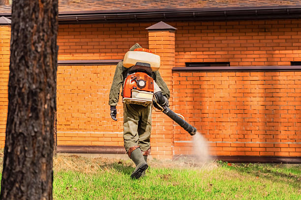 Trusted Cockroach Control service in Mount Airy, GA - Nex Pest Control